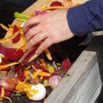 Cómo diseñar un jardín respetuoso con el medio ambiente?