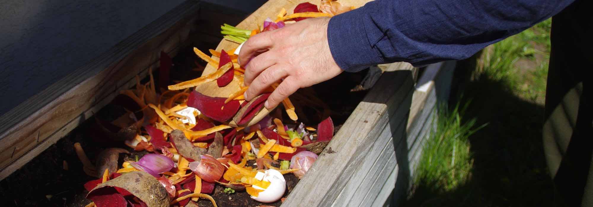 Cómo diseñar un jardín respetuoso con el medio ambiente?