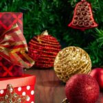 Ideas de regalos de Navidad ecológicos: ¡regala plantas para el jardín!