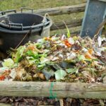 ¿Cómo echar a perder el compost en 6 lecciones?
