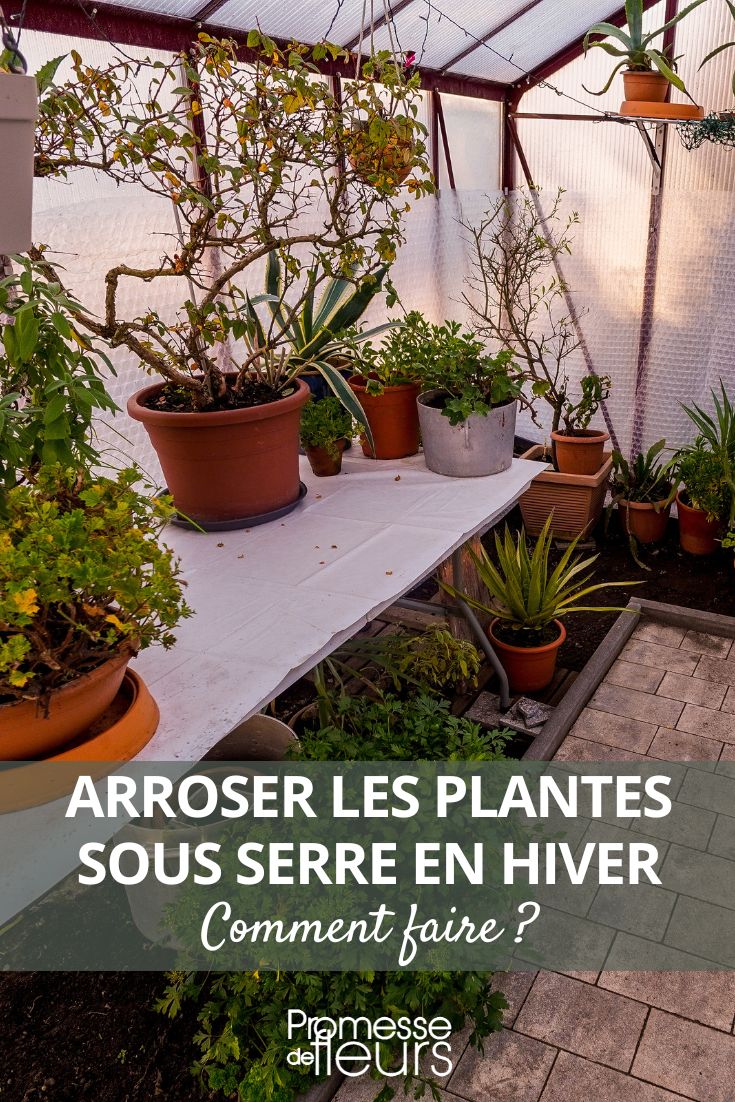 riego invernal en invernadero