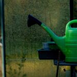 ¿Cómo regar el invernadero en invierno?