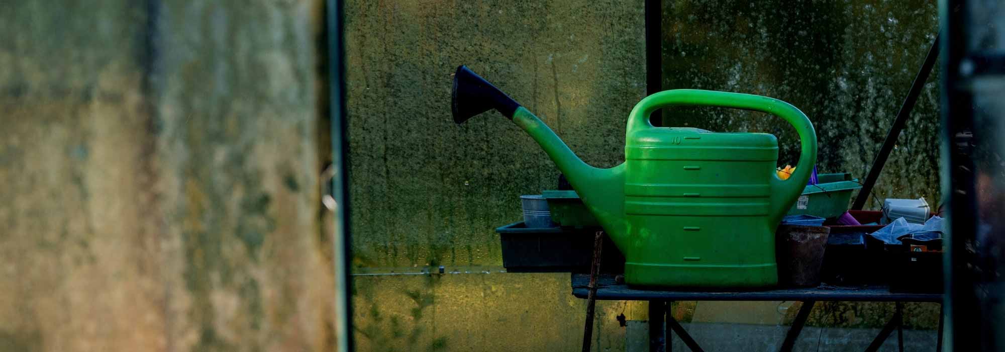 ¿Cómo regar el invernadero en invierno?