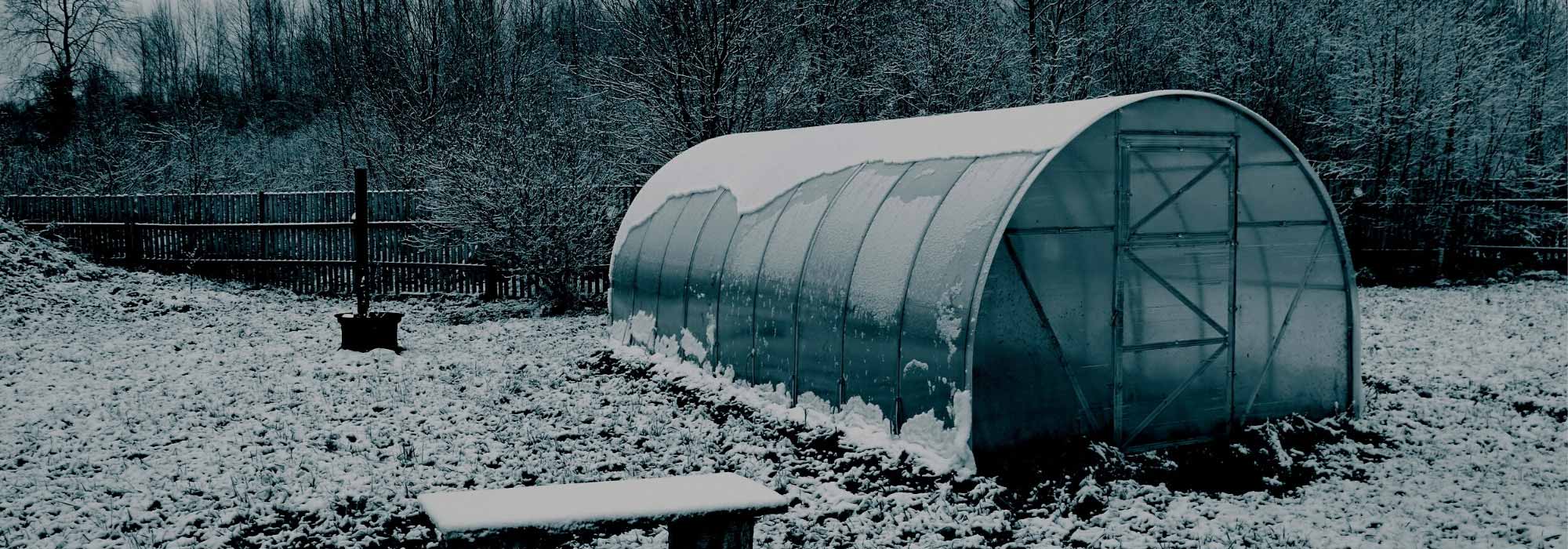 Cultivo bajo invernadero en invierno: ventajas y consejos prácticos