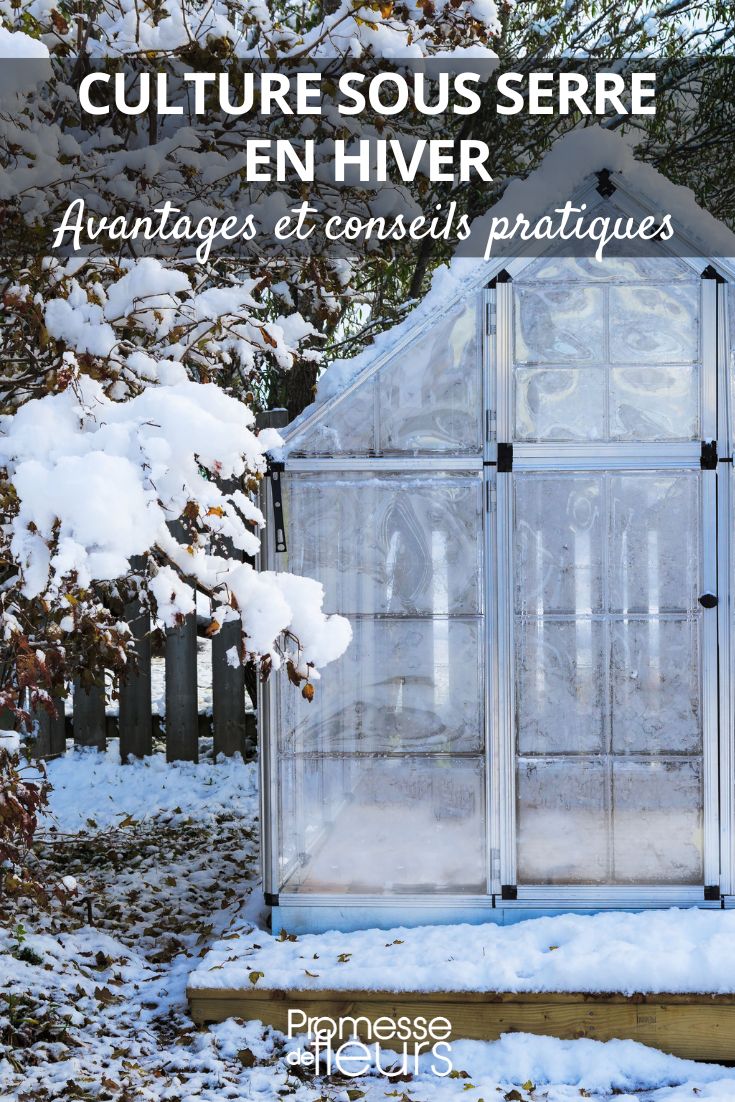 cultivo en invernadero