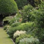 Plantas autóctonas, cultivar, nativar: ¿en qué se diferencian?