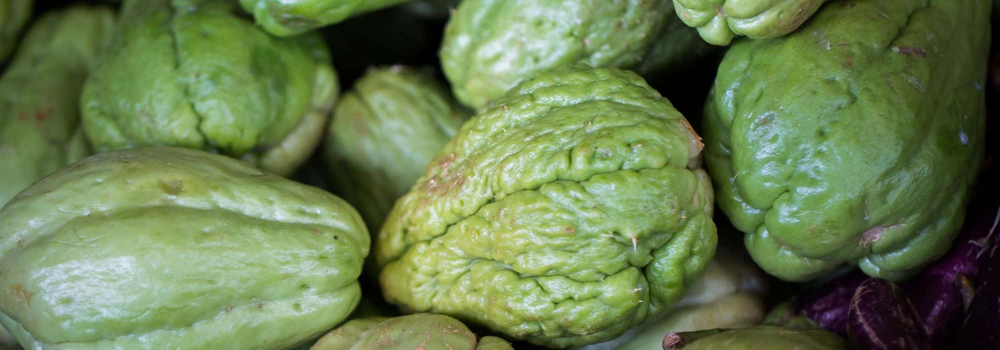 El cultivo de la christophine o chayota