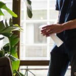 Rocía las plantas de interior