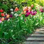 ¿Cómo tener un jardín atractivo y en flor al inicio de la primavera?
