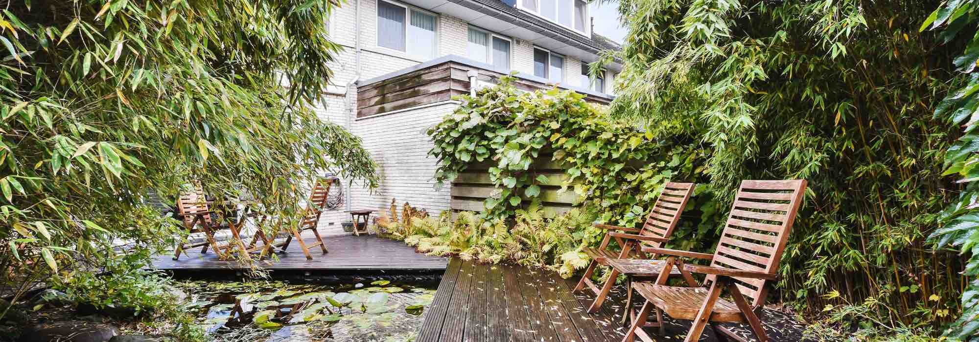 9 plantas ideales para vegetalizar una terraza contemporánea