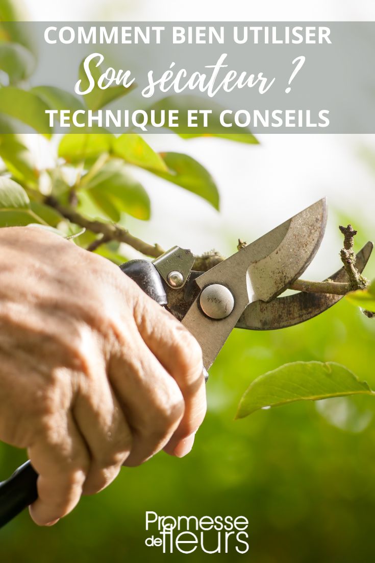 herramienta de corte