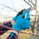 ¿Cómo usar bien el <strong>sécréteur</strong>?