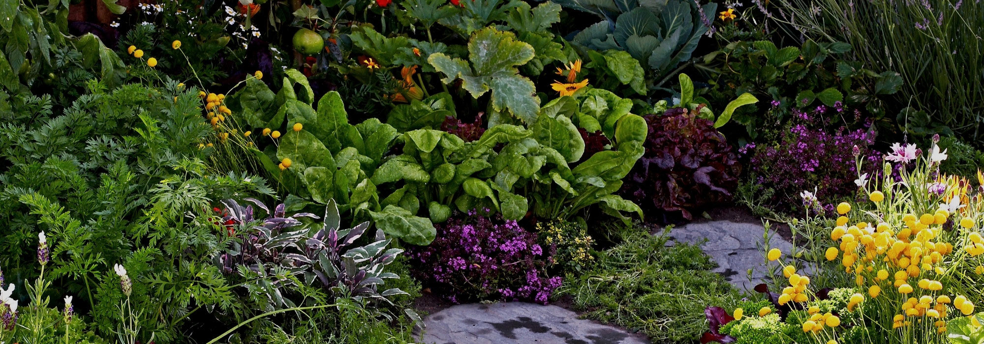¡El jardín edimentario: hermoso y productivo a la vez!