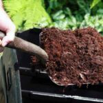 Compost: ¿dónde y cómo usarlo bien en el jardín?
