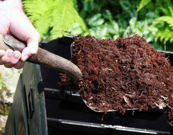Compost: ¿dónde y cómo usarlo bien en el jardín?