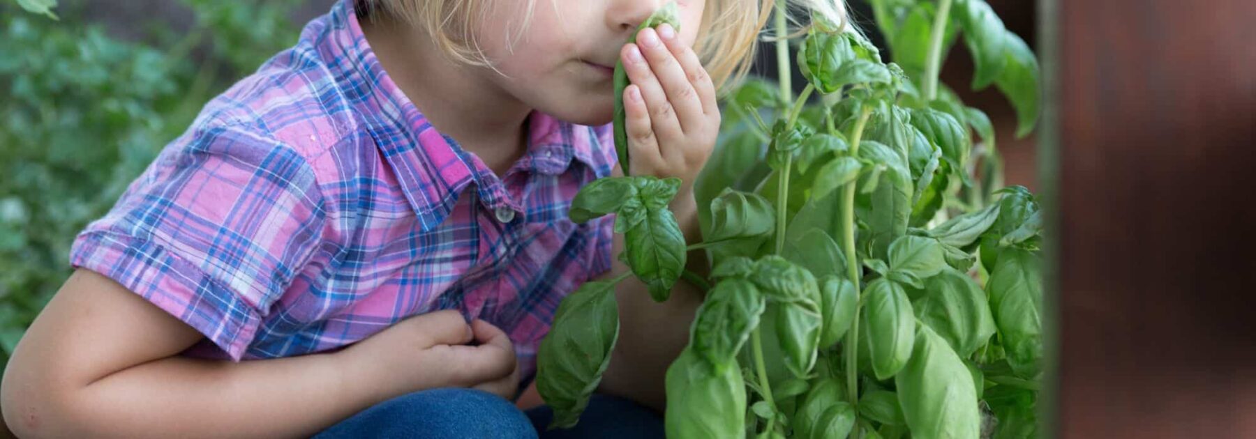 7 ideas creativas para iniciar a los niños en la jardinería incluso sin jardín
