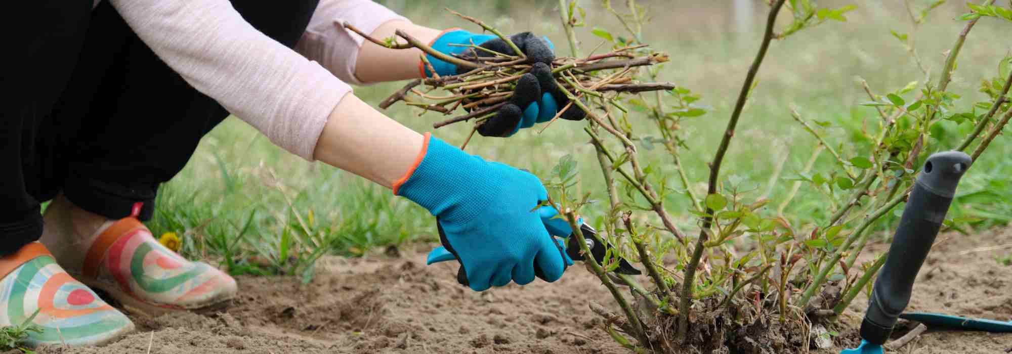 ¡Guantes, gafas, coderas…! ¡En el jardín nos protegemos!