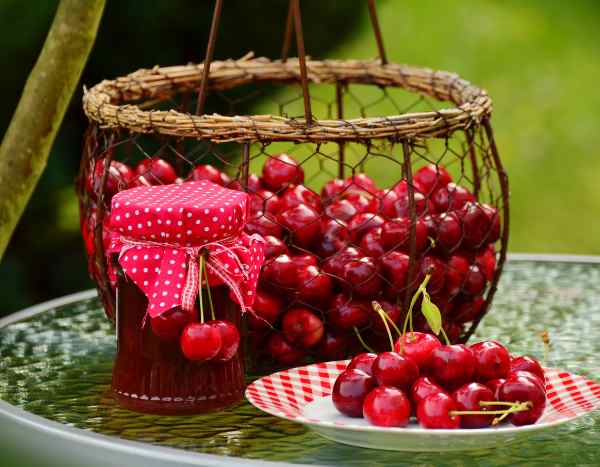 ¿Cómo recolectar y conservar las cerezas?