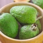 ¿Cómo cosechar y conservar los frutos del Guayabo?
