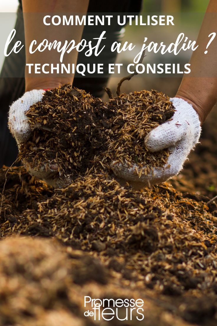 compost en el jardín