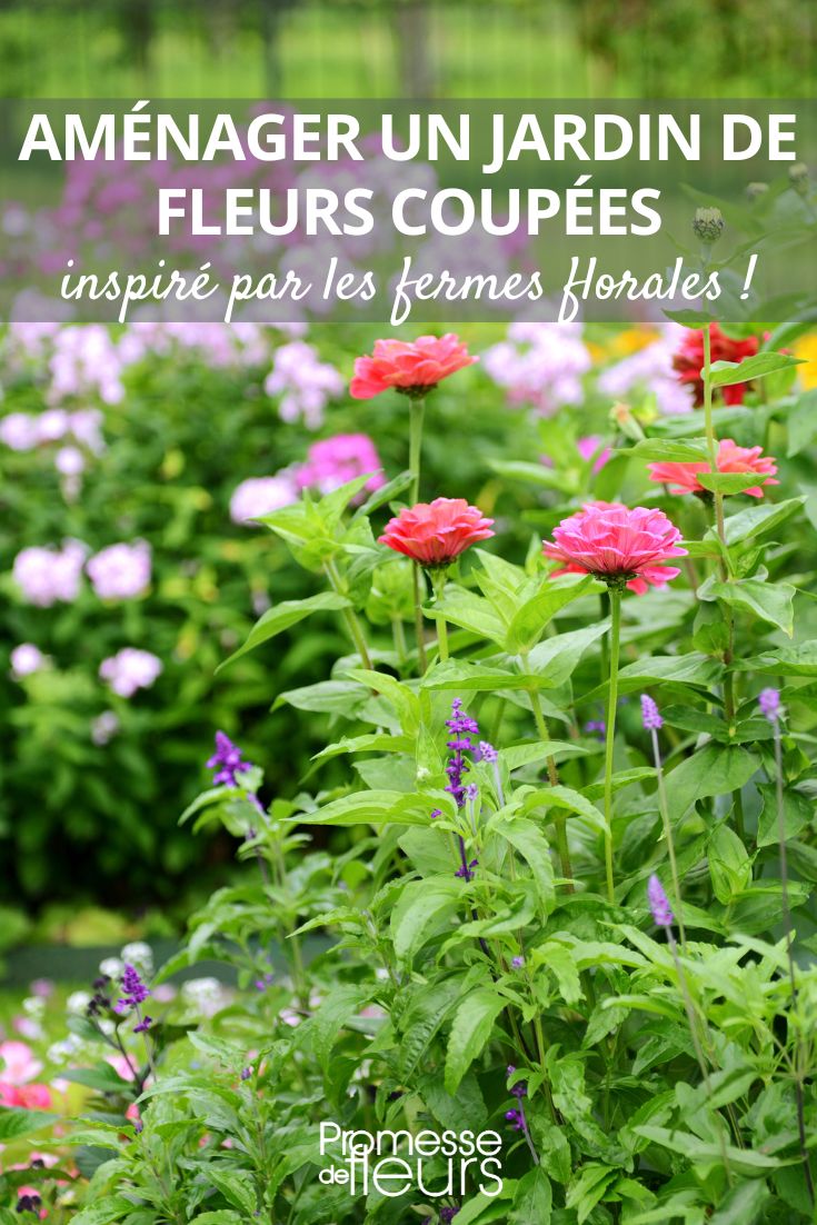 un jardín para ramos de flores