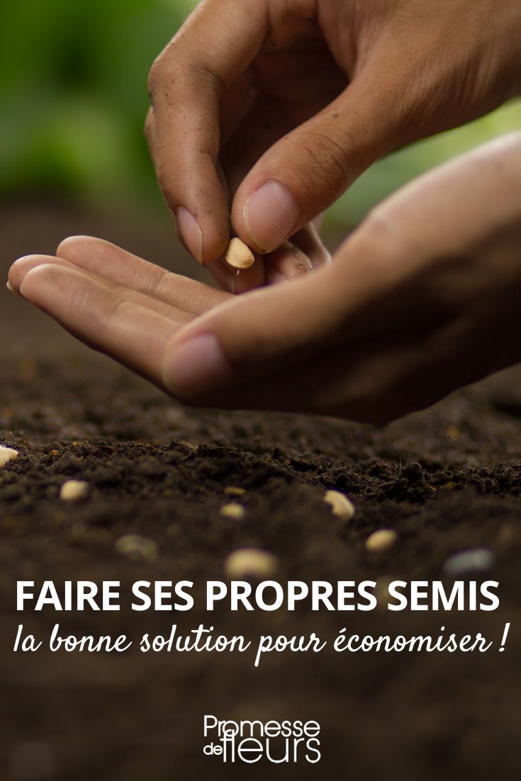 sembrar para ahorrar