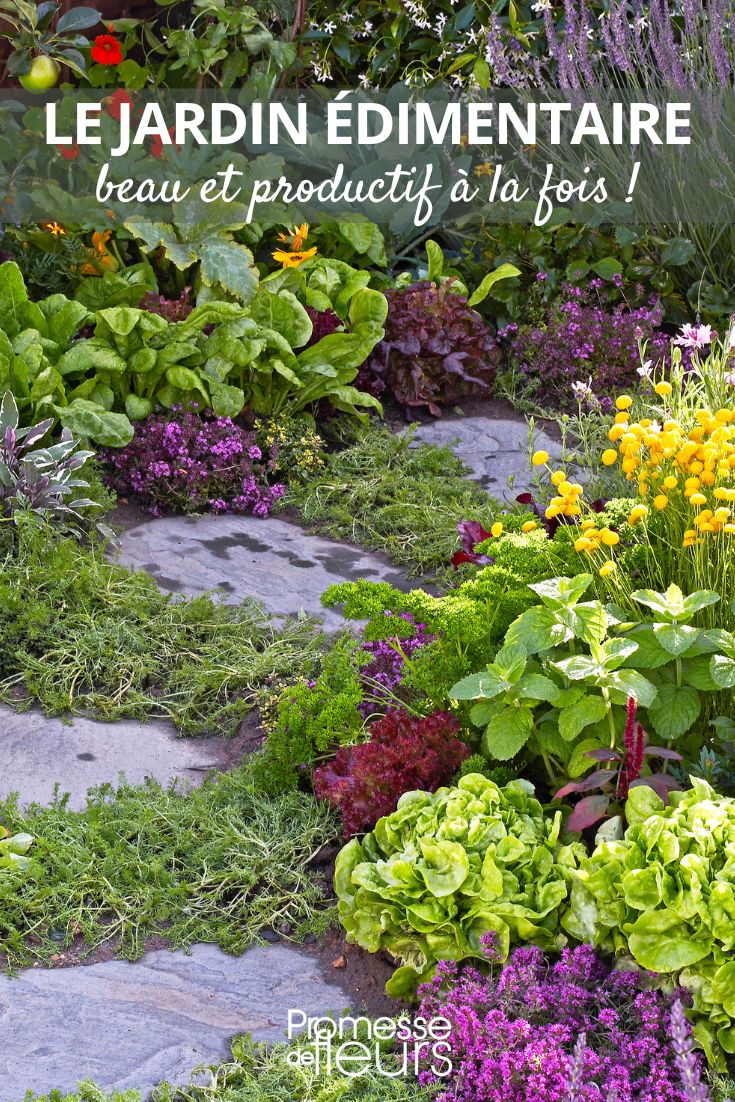 tendencia "edimental" o el arte de combinar plantas comestibles y ornamentales