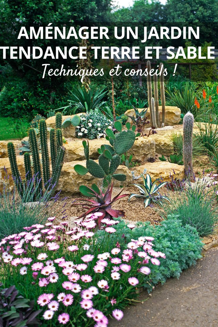 Tierra y arena: la tendencia de jardinería que adopta las plantas del desierto