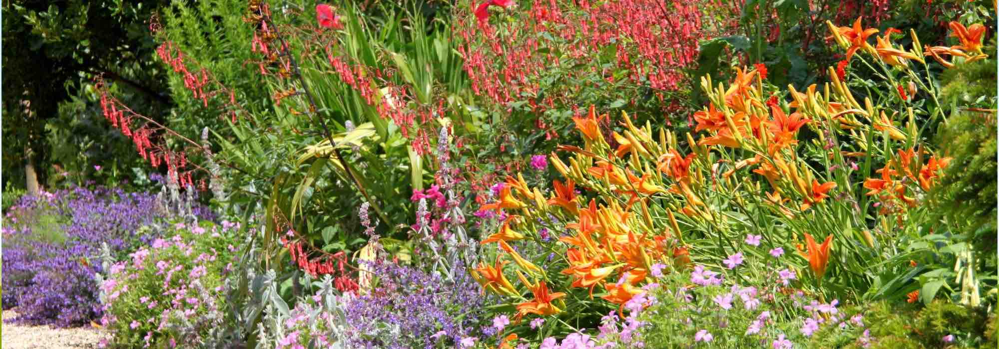 7 consejos baratos para tener un jardín bonito con poco presupuesto