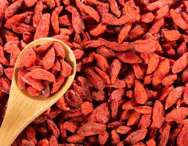 Recollecha y conserva tus bayas de Goji: un tesoro de vitaminas al alcance de la mano