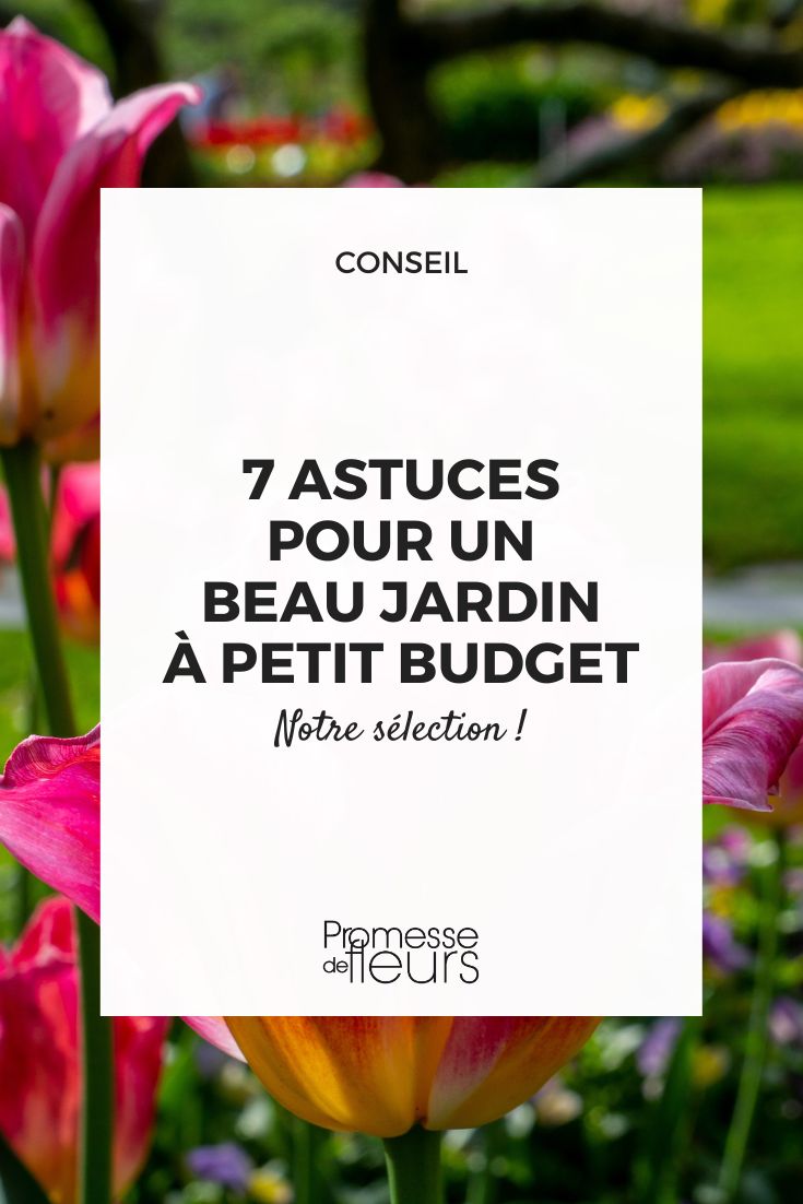 Nuestras ideas para embellecer tu jardín sin gastar demasiado