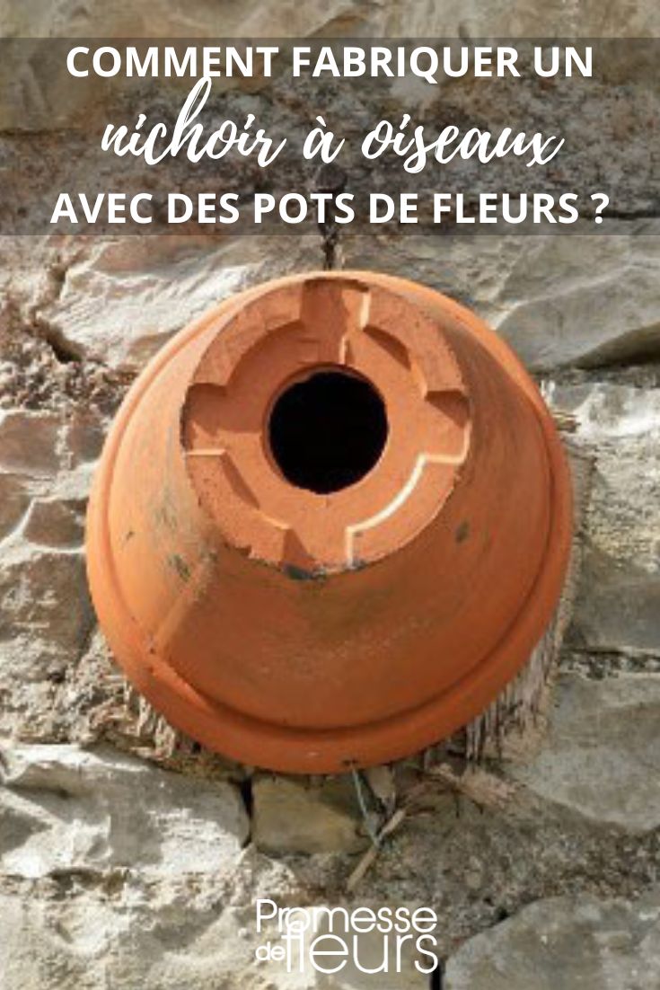 tutorial nido para pájaros en maceta de barro cocido