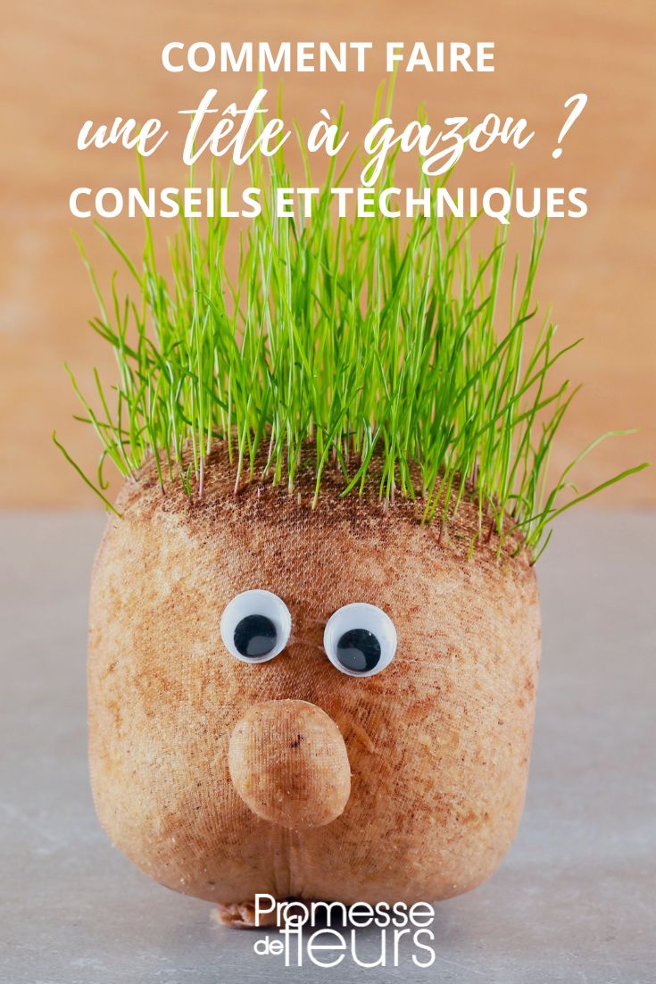 hacer una cabeza para cultivar