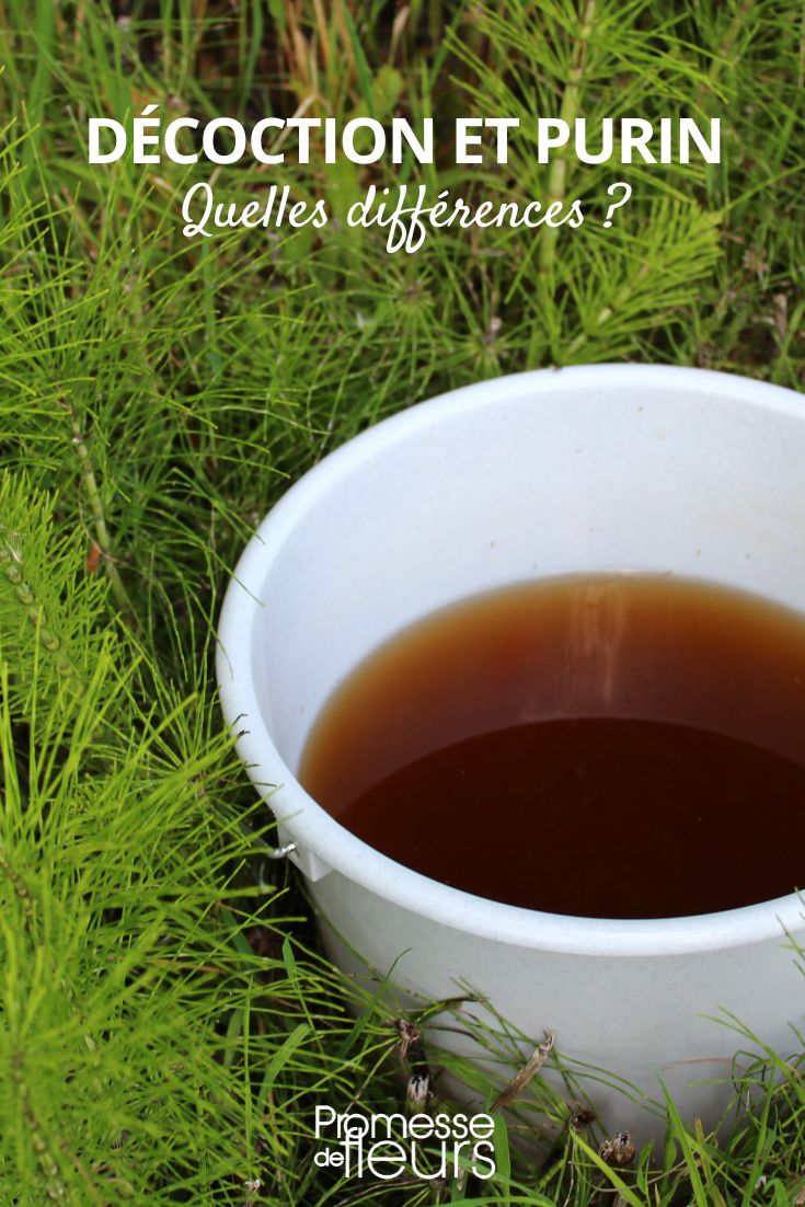 purín de cola de caballo