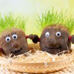 Cómo hacer una cabeza de césped: una actividad DIY divertida para niños