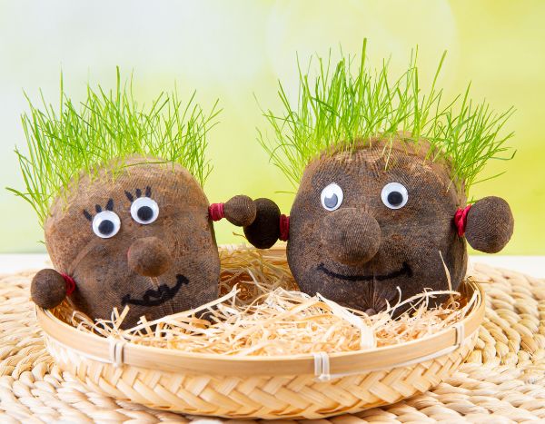 Cómo hacer una cabeza de césped: una actividad DIY divertida para niños