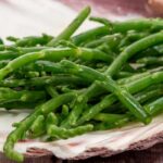 Cultivar la salicornea en maceta: ¿cómo y por qué?