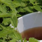 Decocción y purín en el jardín: ¿en qué se diferencian y por qué usarlos?