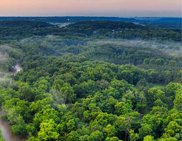 ¿Poro de carbono: una solución natural contra el cambio climático?