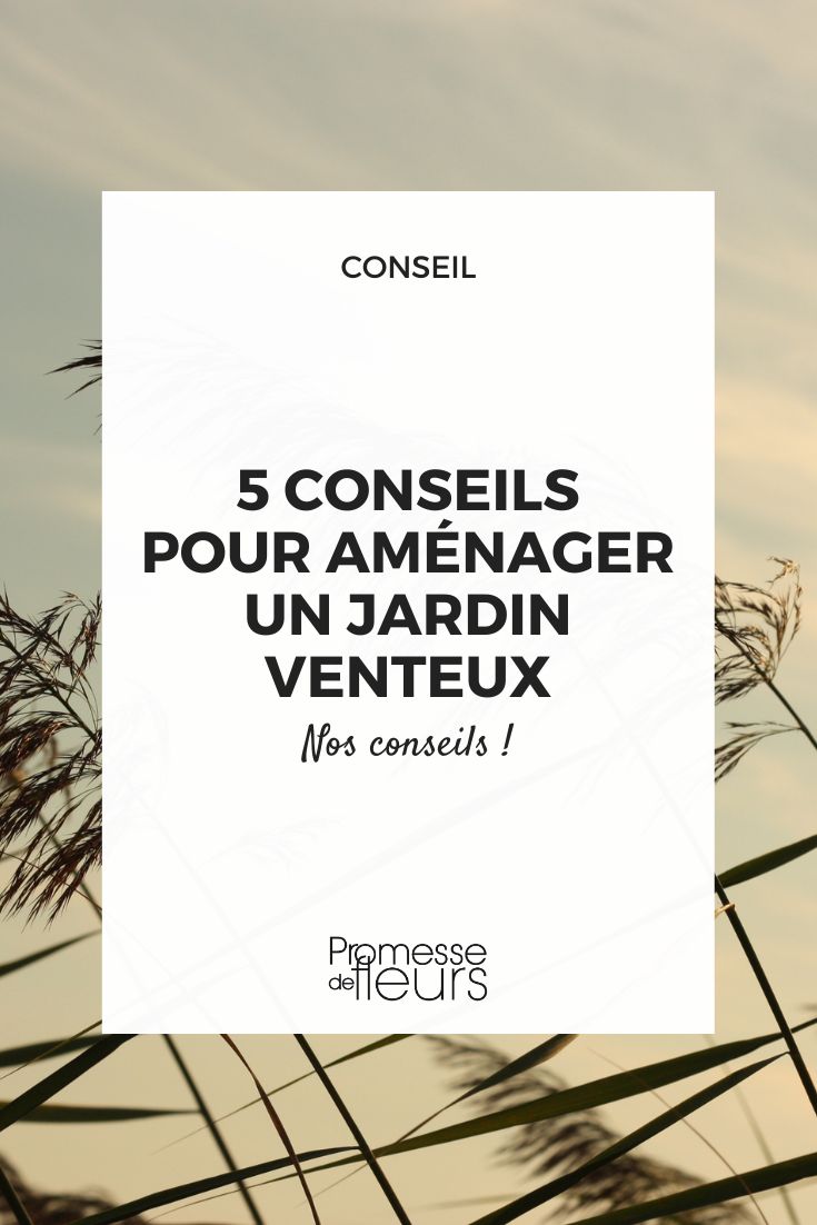 hacer tu jardín al aire libre