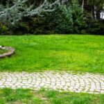 ¿Cómo acondicionar un camino de jardín con pavimentos de piedra?