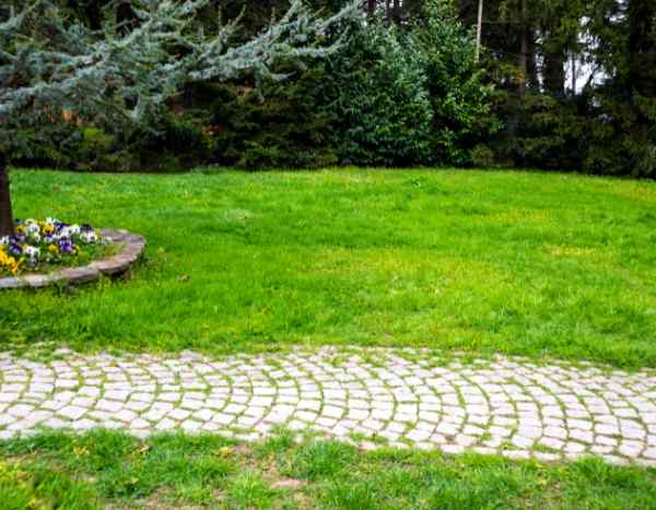 ¿Cómo acondicionar un camino de jardín con pavimentos de piedra?