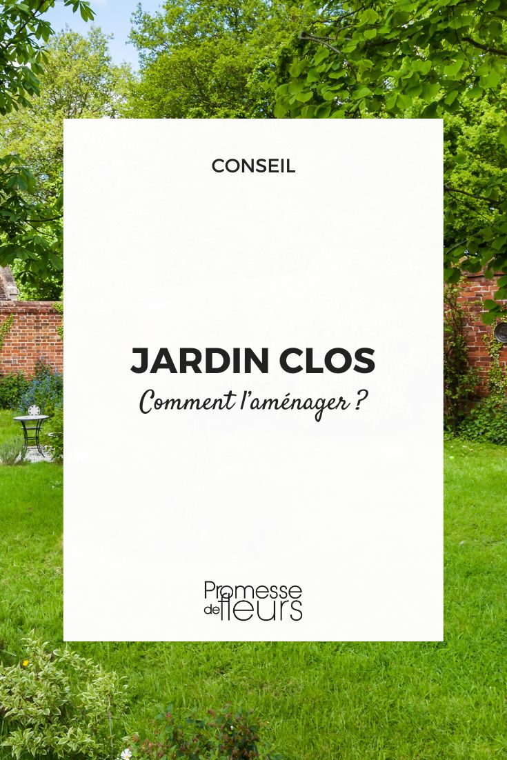 # Diseño y consejos para un jardín cerrado

## Planificación del espacio
- Define zonas funcionales (descanso, cultivo, decoración)
- Considera la orientación solar para ubicar plantas y áreas de estar
- Crea caminos prácticos que conecten las diferentes áreas

## Elección de plantas
- Selecciona especies adaptadas al microclima de tu jardín cerrado
- Combina plantas perennes y estacionales para interés visual todo el año
- Incluye plantas aromáticas y florales para estimular los sentidos

## Elementos decorativos
- Incorpora mobiliario resistente a la intemperie
- Añade iluminación ambiental para disfrutar el espacio por la noche
- Considera una fuente o pequeño estanque como elemento focal

## Mantenimiento
- Instala un sistema de riego eficiente
- Programa podas regulares para controlar el crecimiento
- Renueva el acolchado periódicamente para proteger el suelo

## Privacidad y protección
- Usa celosías con plantas trepadoras como barreras naturales
- Coloca cortavientos si el espacio es muy expuesto
- Considera toldos o pérgolas para zonas de sombra