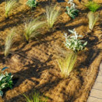 ¿Cómo colocar una lona de acolchado biodegradable?