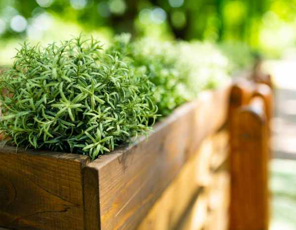 ¿Cómo preparar correctamente una jardinera elevada?