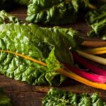 ¡Aprovecha y llena tu despensa de ideas de recetas con la Acelga!