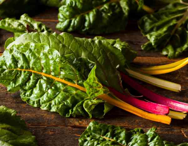 ¡Aprovecha y llena tu despensa de ideas de recetas con la Acelga!