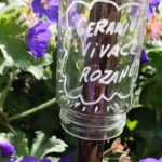 Jardinería ecológica: cómo fabricar tus propias etiquetas para el jardín y el huerto