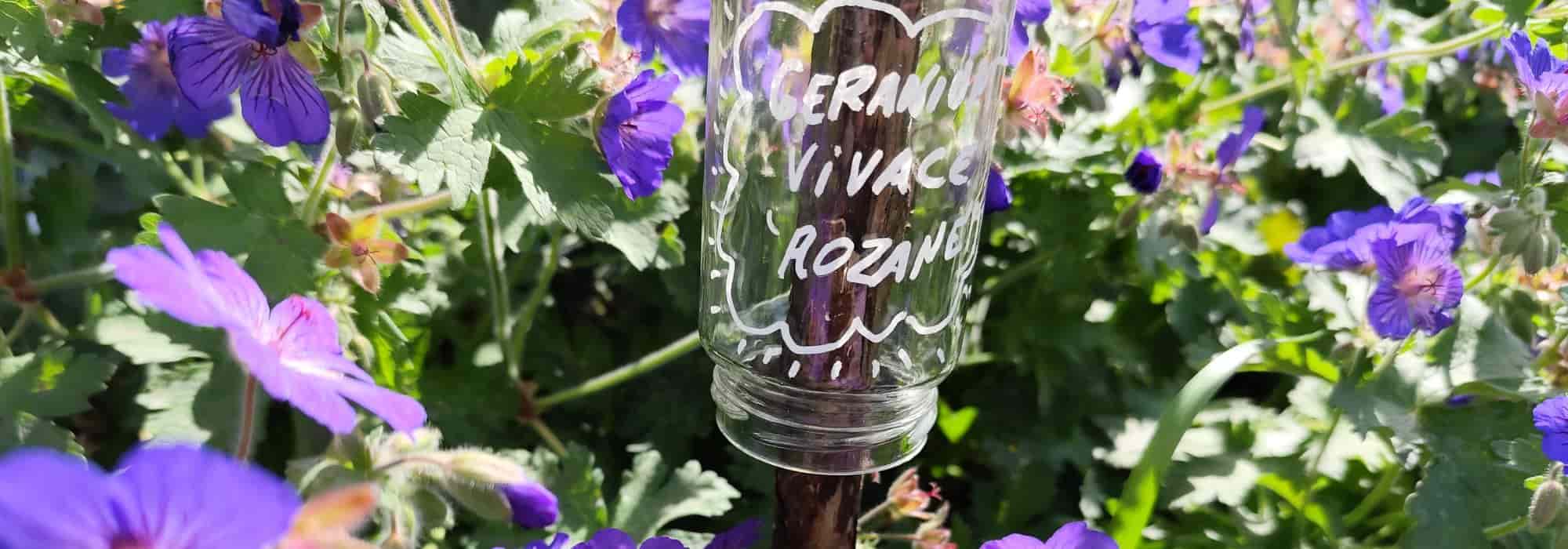 Jardinería ecológica: cómo fabricar tus propias etiquetas para el jardín y el huerto