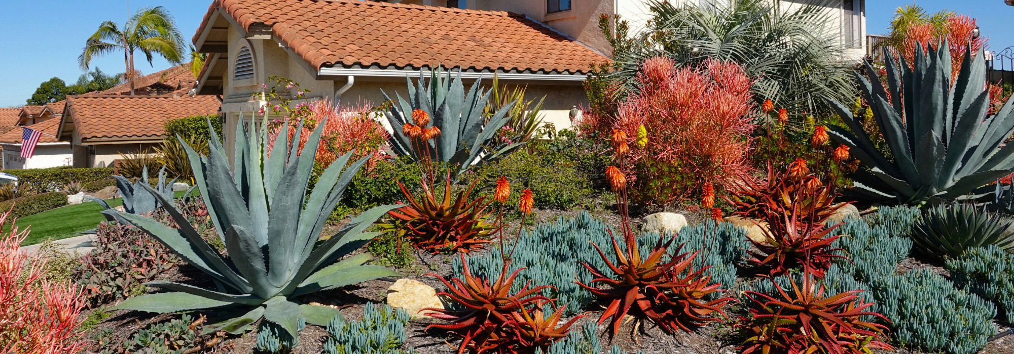 ¿Cómo diseñar un jardín de estilo californiano?
